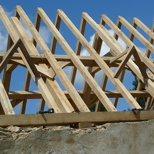 Roof Timber
